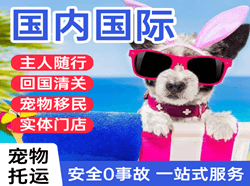郑州航空货运国际宠物托运 【国